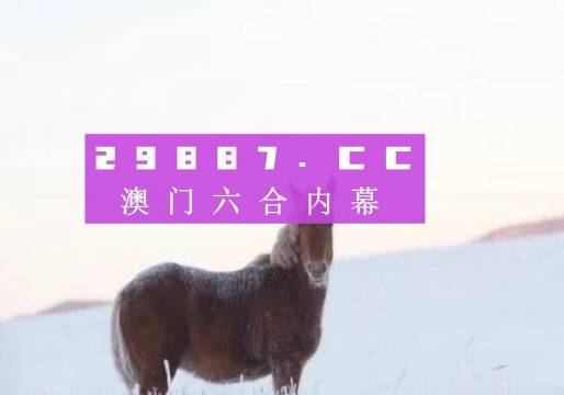 奥门一肖一码中,创新性方案解析_特供版32.370